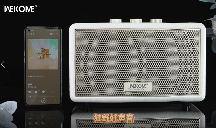 WEKOME HIFI Wireless Speaker Beluga D10