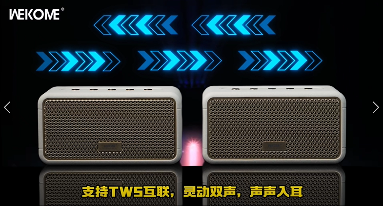 WEKOME Wireless Speaker Beluga D9