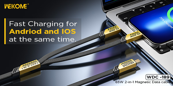 WEKOME WDC-189 65W  Magnetic Charging Cable