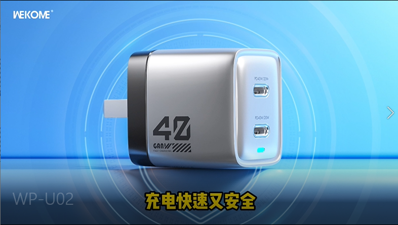 WEKOME WP-U02 Wall Charger