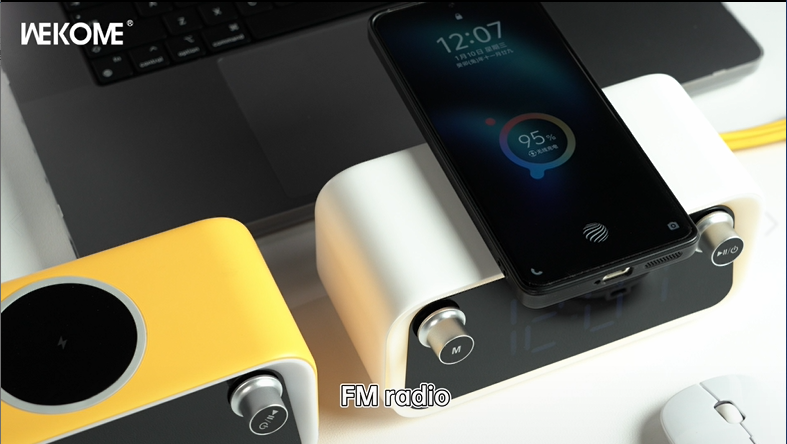 WEKOME Beluga D6 Wireless Speaker